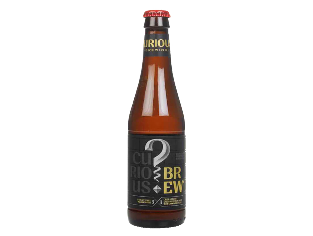 Curious Brew Lager