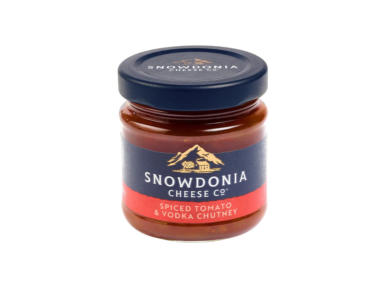 Spiced Tomato & Vodka Chutney (US) - Image 3